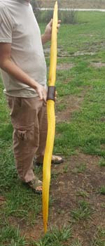 Osage Orange Bow Stave